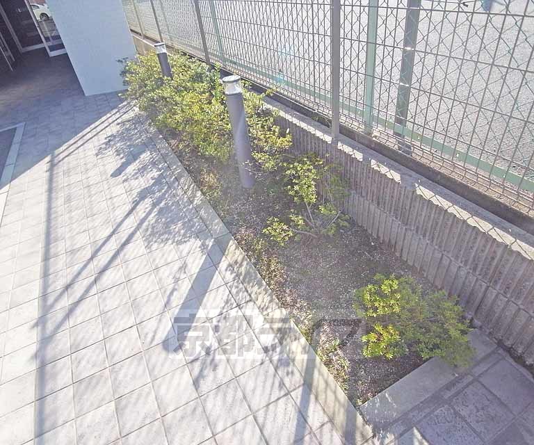 庭