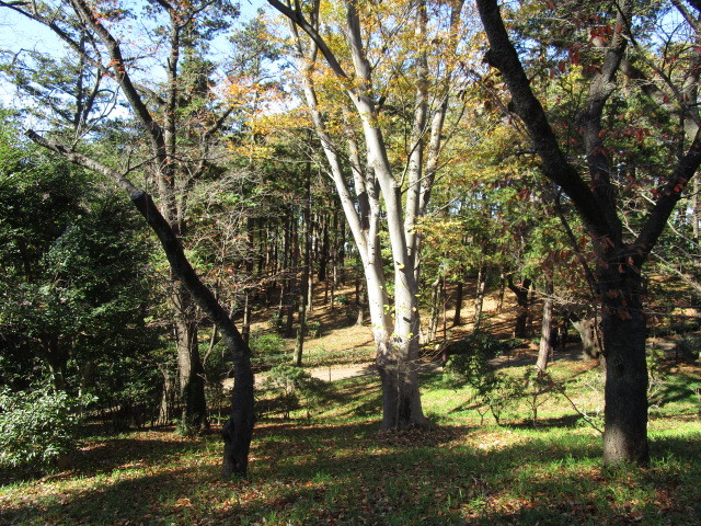 その他　世田谷区羽根木公園（その他）まで1047m