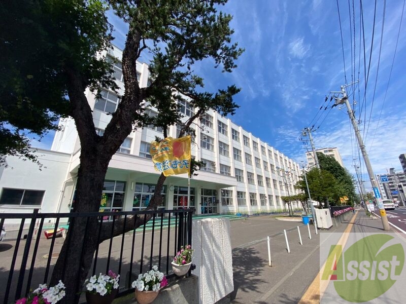 小学校　札幌市立白楊小学校（小学校）まで508m