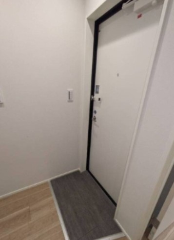 玄関　※同シリーズ別部屋参照写真