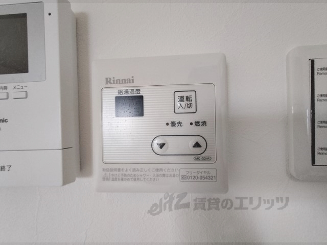 サンフラワーのその他写真