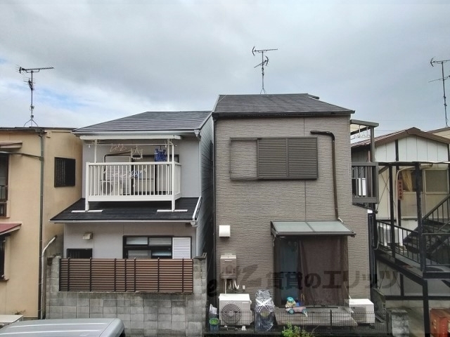 サンフラワーのその他写真