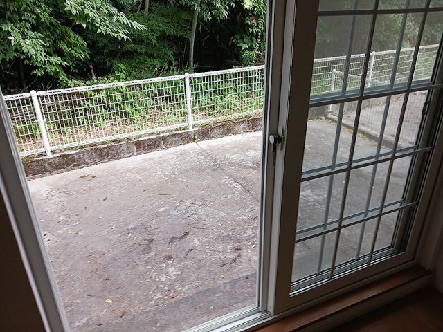 庭