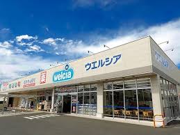 ドラックストア　ウエルシア世田谷砧店（ドラッグストア）まで235m