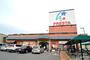 スーパー　フレスタ東山本店（スーパー）まで257m