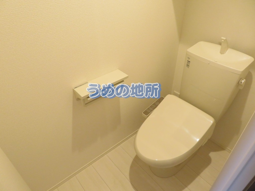 ＪＲ久大本線 久留米大学前駅 徒歩9分 3階建 築6年のトイレ写真