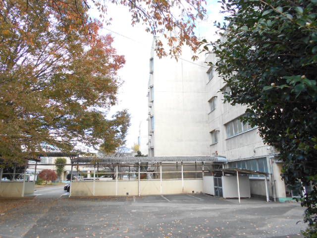 小学校　さいたま市立岩槻小学校（小学校）まで399m
