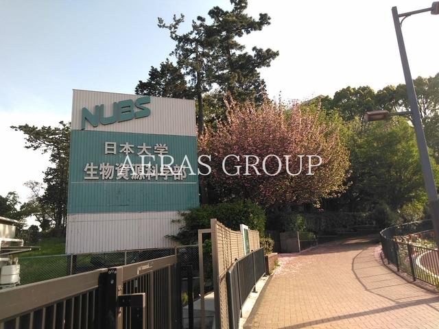 大学・短大　日本大学生物資源科学部（大学・短大）まで695m