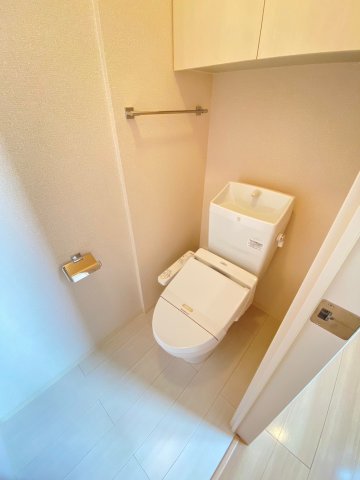 ＪＲ内房線 姉ケ崎駅 徒歩16分 3階建 築9年のトイレ写真