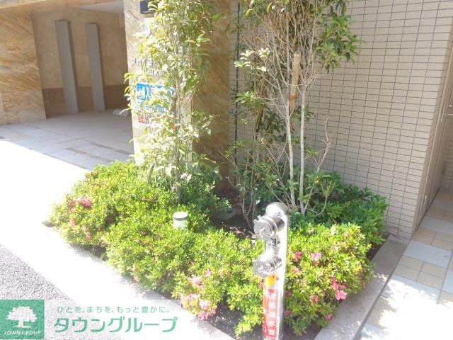 庭　植栽