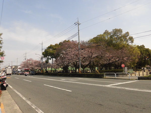 【守口市橋波東之町のアパートの公園】