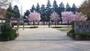 公園　錦町公園（公園）まで459m