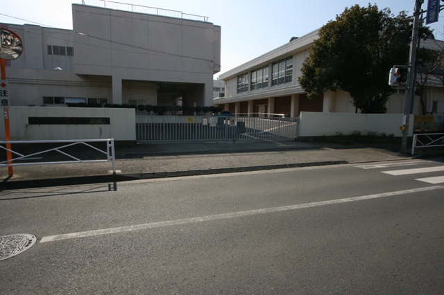 小学校　幡羅小学校（小学校）まで562m