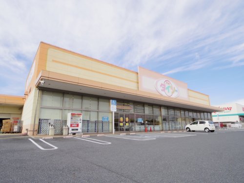 スーパー　ダイソー大和郡山筒井北店（スーパー）まで591m