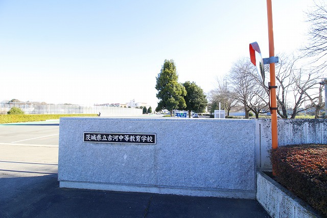 中学校　茨城県立古河中等教育学校（中学校）まで508m