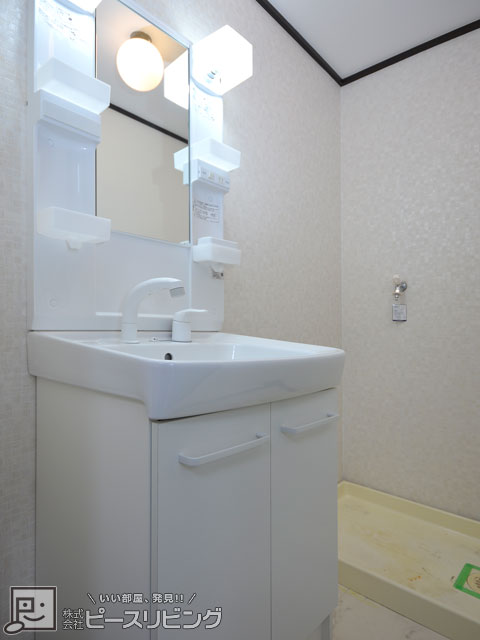 洗面設備　サラグレース川内