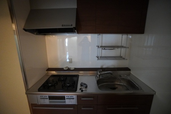 キッチン　※別号室の写真です。