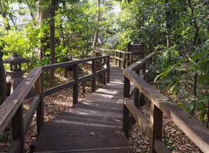 公園　千石緑地（公園）まで1140m