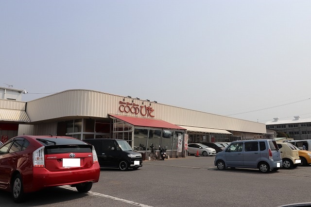 スーパー　コープ新治店（スーパー）まで231m