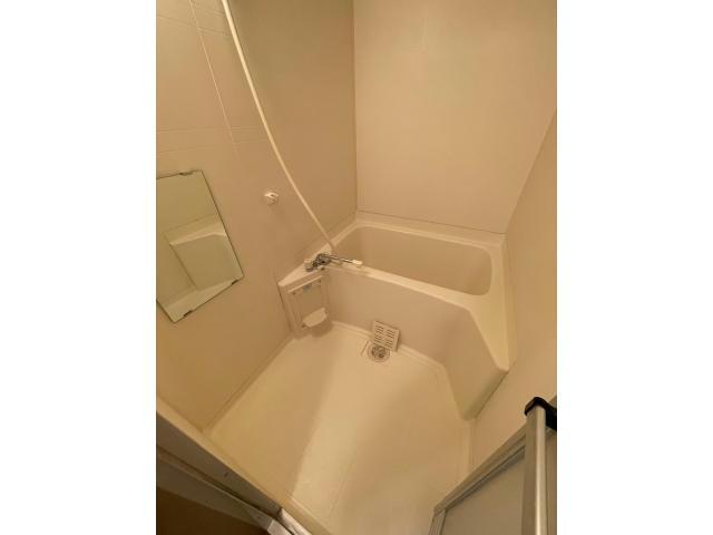 バス・シャワールーム　※写真は同じマンションの違う部屋のものになります。