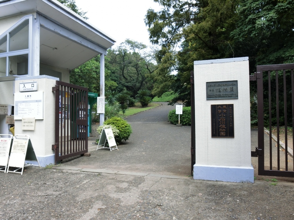 その他　小石川植物園（その他）まで683m