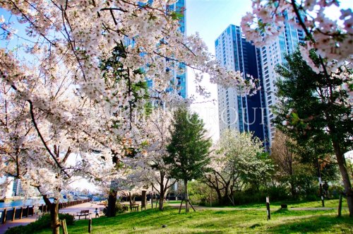 公園　港南緑水公園（公園）まで670m