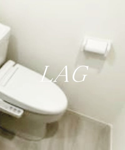 トイレ　トイレです。（同仕様です。）