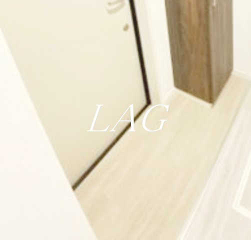 玄関　玄関です。（同仕様です。）