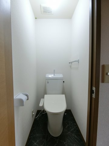 トイレ　イメージ201号室の写真