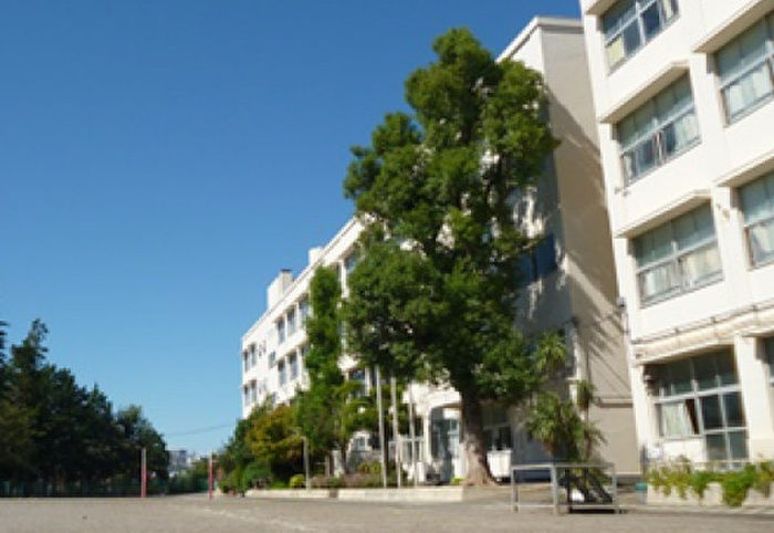 小学校　藤が丘小学校（小学校）まで700m