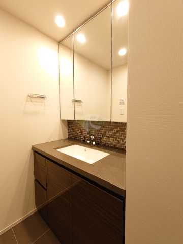 洗面設備　ザ・パークハビオ目黒