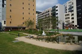 公園　坂本町公園（公園）まで470m