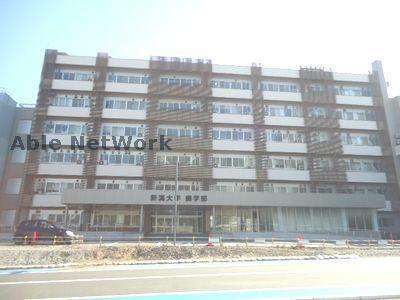 大学・短大　国立新潟大学歯学部（大学・短大）まで421m