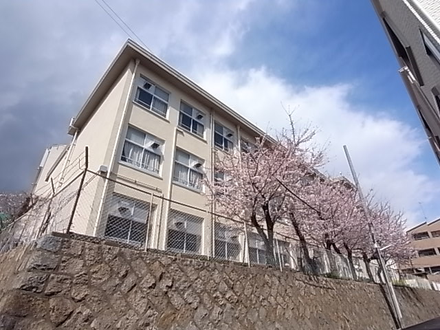 中学校　葺合中学校（中学校）まで12m