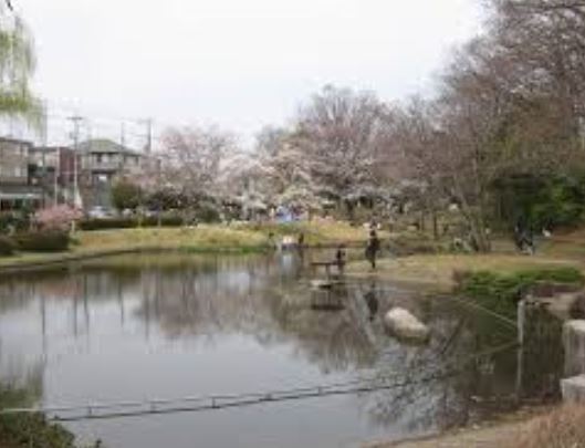 公園　桜台公園（公園）まで389m
