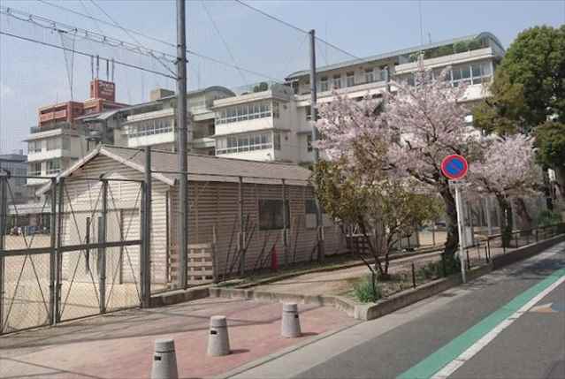 中学校　中央中学校（中学校）まで187m