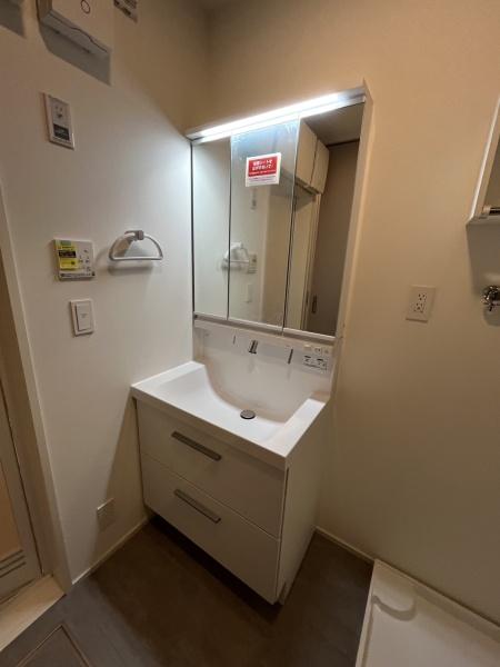 洗面設備　便利なシャンプードレッサー付き