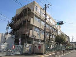 小学校　堺市立小学校三国丘小学校（小学校）まで429m