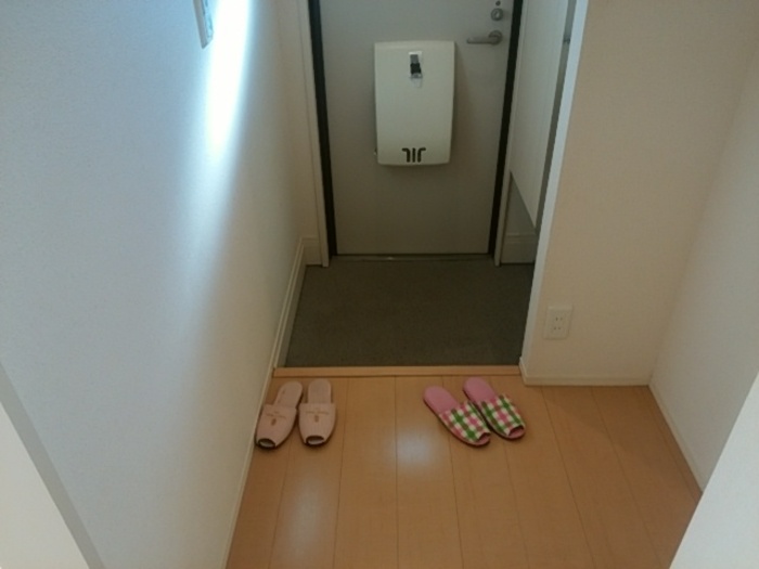 玄関　この写真の反転タイプです。