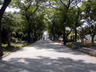 公園　住吉公園（公園）まで347m