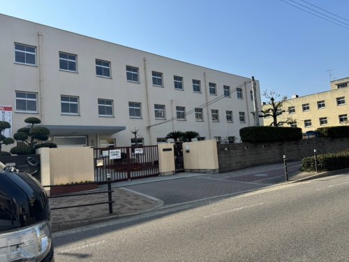 中学校　巽中学校（中学校）まで708m