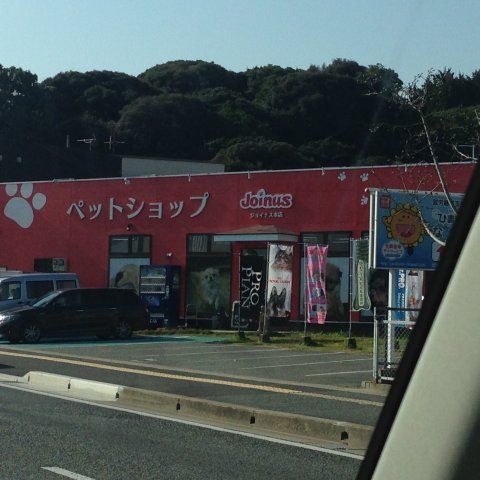 その他　ジョイナス老司店（その他）まで302m
