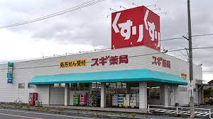 ドラックストア　スギ薬局 竹村店（ドラッグストア）まで1503m
