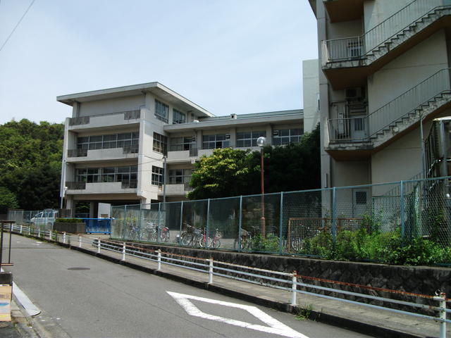 小学校　鎌倉市立関谷小学校（小学校）まで167m