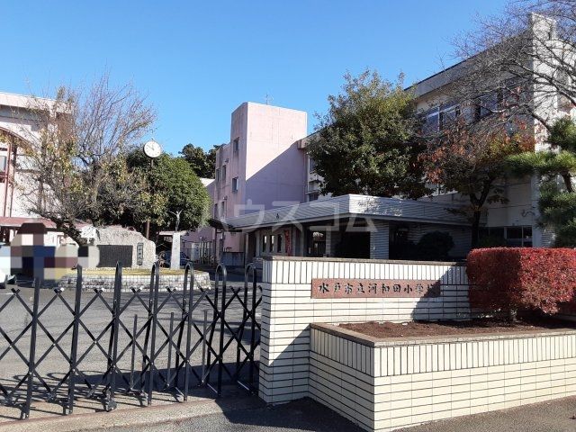 小学校　水戸市立河和田小学校（小学校）まで1524m