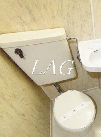 東急目黒線 不動前駅 徒歩5分 5階建 築41年のトイレ写真