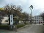 小学校　指宿市立　丹波小学校（小学校）まで220m