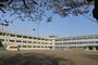 小学校　若葉小学校（小学校）まで1171m