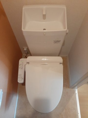 パインアルブル Bのトイレ写真
