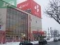 ショッピングセンター　ベスト電器ハピータウン岡北店（ショッピングセンター）まで1039m